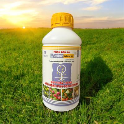 AMINO ALEXIN (NỨT THÂN- XÌ MỦ-THỐI RỂ)