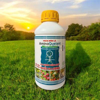 AMINOQUELANT- MINORS (Vi Lượng Tổng Hợp)