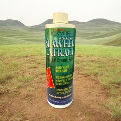 SEAWEED EXTRACT (RONG BIỂN-TẢO BIỂN)